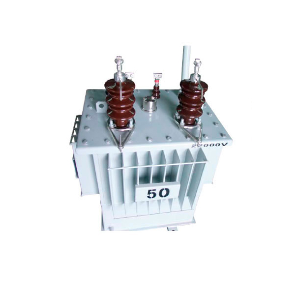 10KV级单相配电变压器/10KV level single-phase distribution transformer